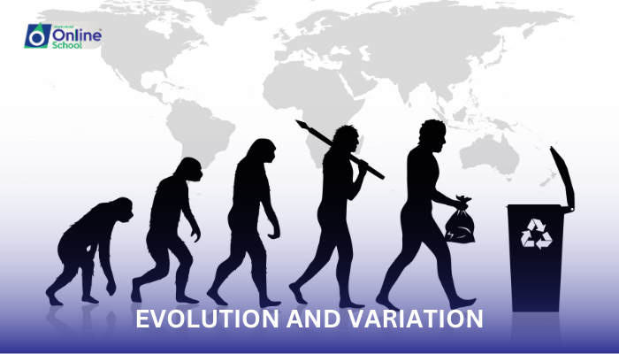 Lesson 13: Evolution and Variation